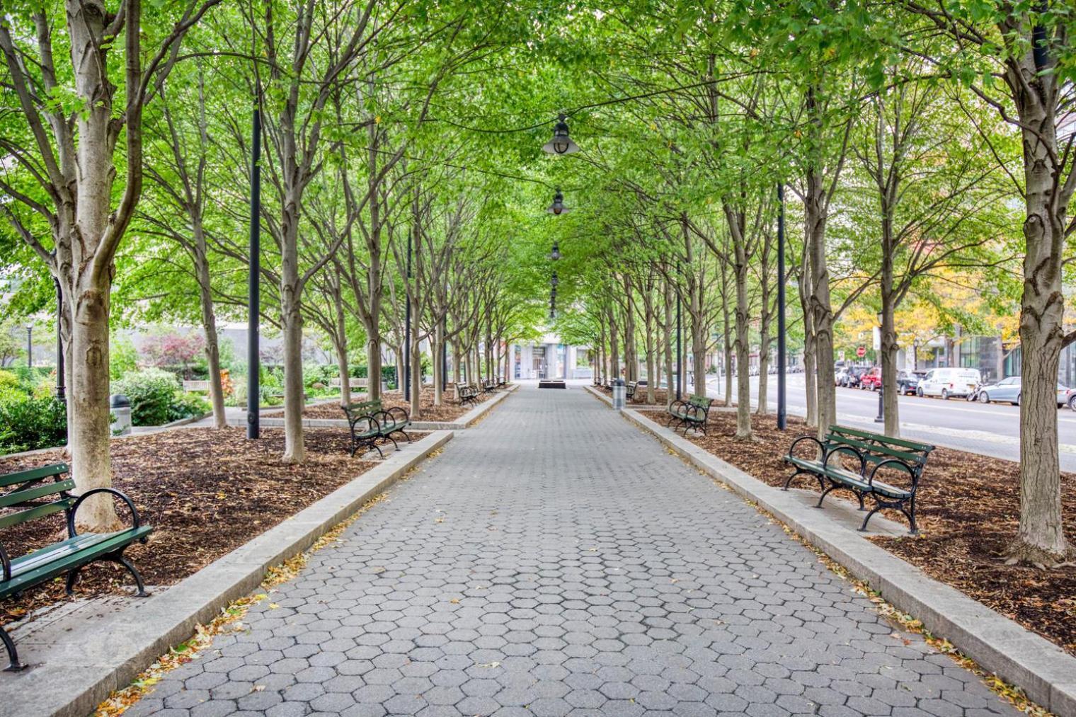Fidi 1br W Wd Doorman Elevator Roof Nyc-770 Appartamento